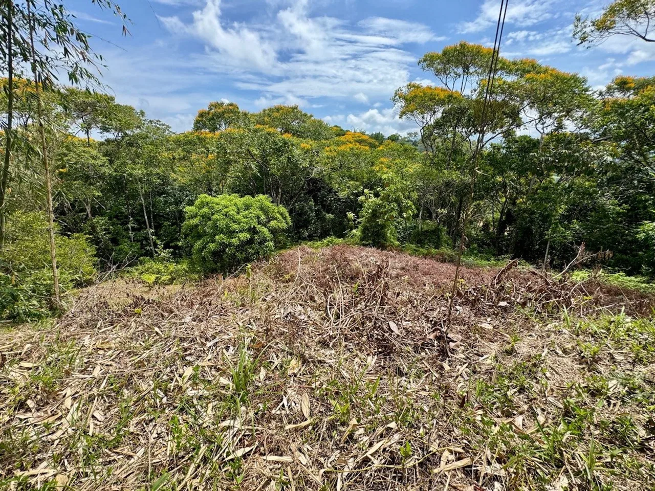 BUILDING PROPERTY NEAR TO THE CREEK AND PUBLIC ROAD IN FRONT, IN PLATANILLO – 1.9 ACRES, photo 4