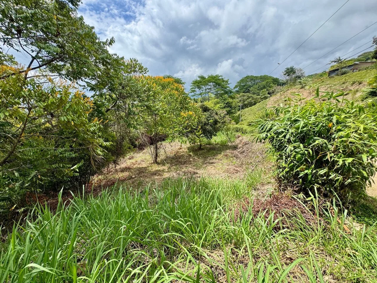 BUILDING PROPERTY NEAR TO THE CREEK AND PUBLIC ROAD IN FRONT, IN PLATANILLO – 1.9 ACRES, photo 7
