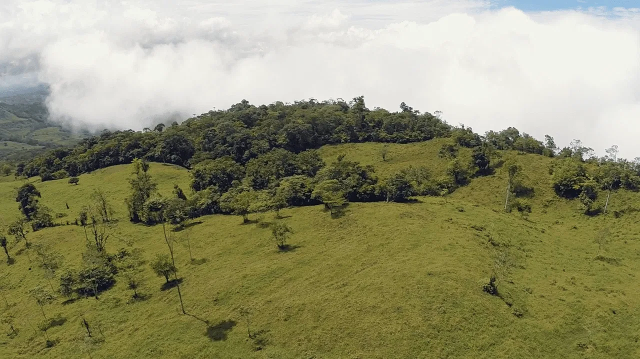 EXCEPTIONAL SOUTHERN PACIFIC COAST PROPERTY WITH SPECTACULAR VIEWS AND UNLIMITED POTENTIAL – 79 ACRES, photo 15