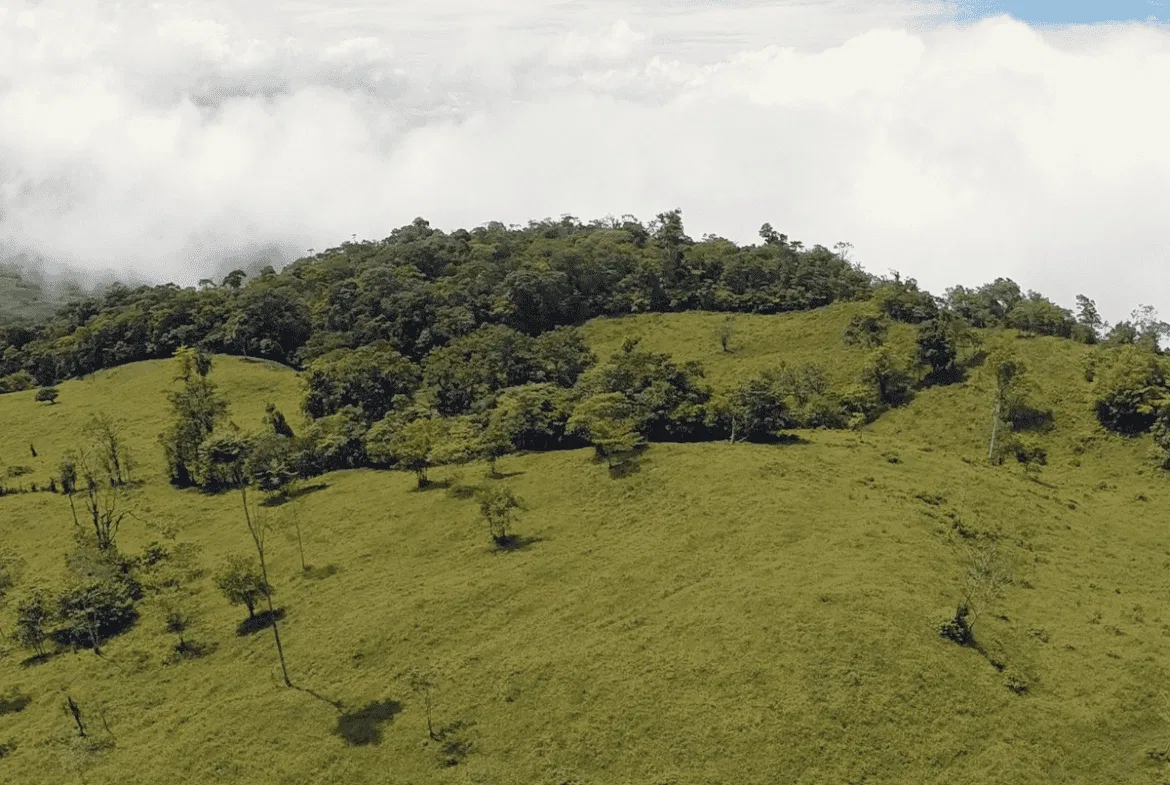 EXCEPTIONAL SOUTHERN PACIFIC COAST PROPERTY WITH SPECTACULAR VIEWS AND UNLIMITED POTENTIAL – 79 ACRES, photo 16