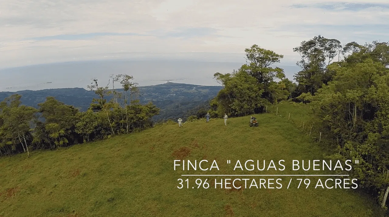 EXCEPTIONAL SOUTHERN PACIFIC COAST PROPERTY WITH SPECTACULAR VIEWS AND UNLIMITED POTENTIAL – 79 ACRES, photo 3