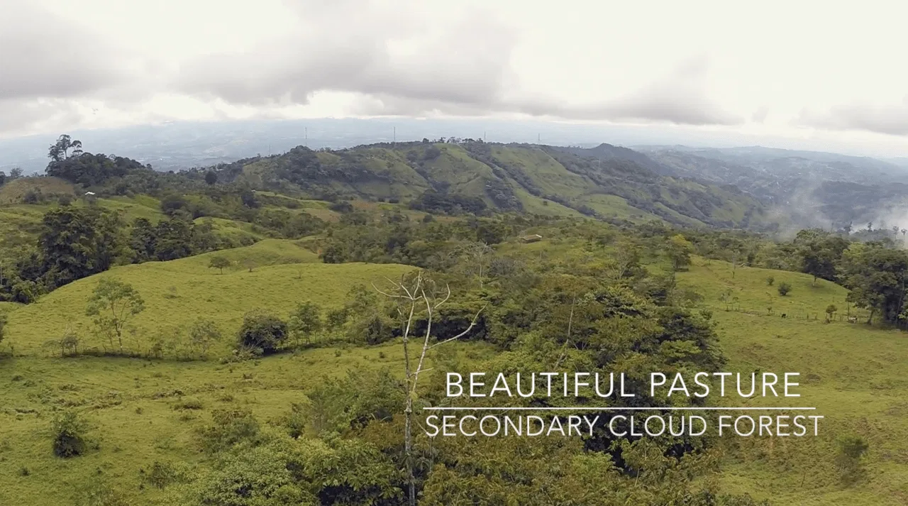 EXCEPTIONAL SOUTHERN PACIFIC COAST PROPERTY WITH SPECTACULAR VIEWS AND UNLIMITED POTENTIAL – 79 ACRES, photo 21