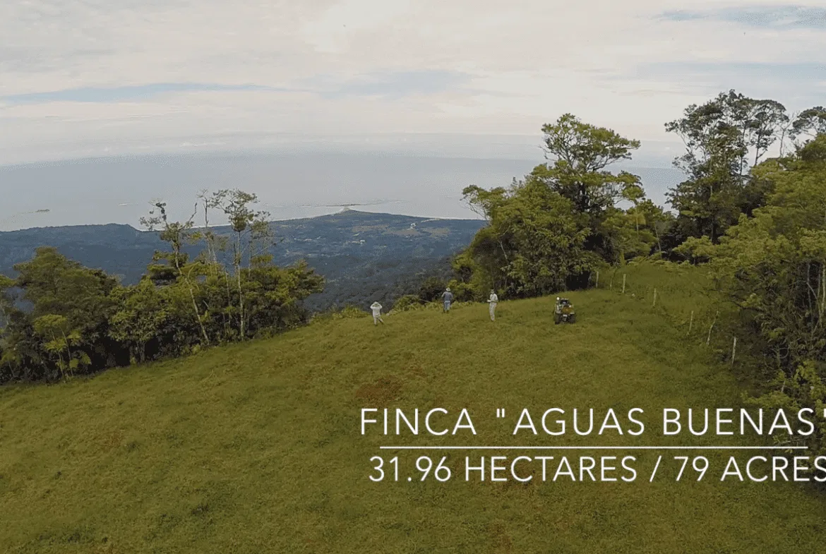 EXCEPTIONAL SOUTHERN PACIFIC COAST PROPERTY WITH SPECTACULAR VIEWS AND UNLIMITED POTENTIAL – 79 ACRES, photo 4