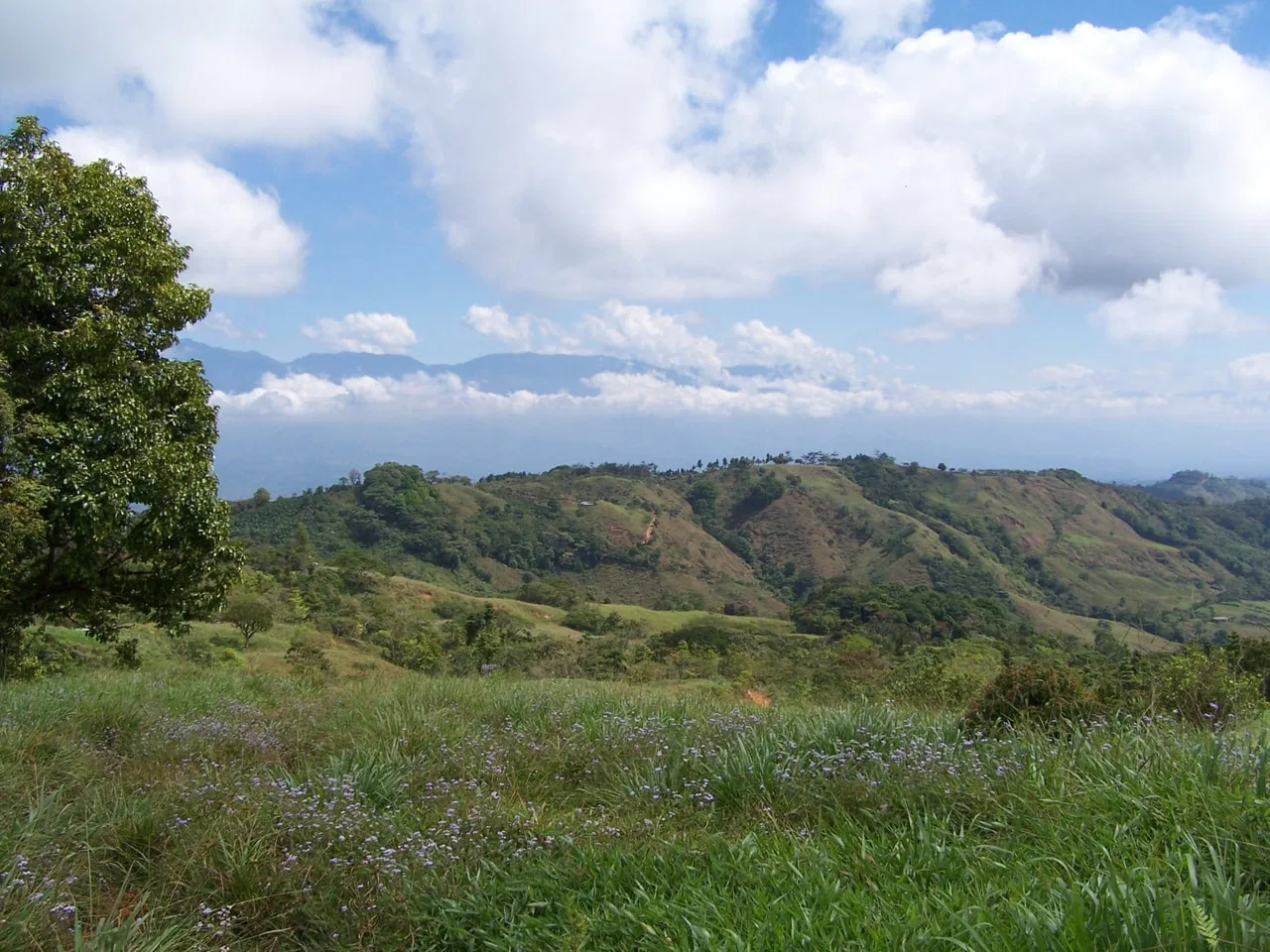 EXCEPTIONAL SOUTHERN PACIFIC COAST PROPERTY WITH SPECTACULAR VIEWS AND UNLIMITED POTENTIAL – 79 ACRES, photo 7