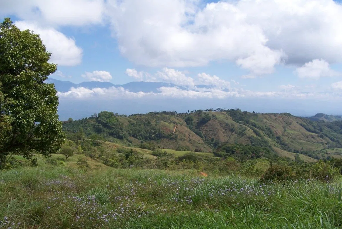 EXCEPTIONAL SOUTHERN PACIFIC COAST PROPERTY WITH SPECTACULAR VIEWS AND UNLIMITED POTENTIAL – 79 ACRES, photo 8