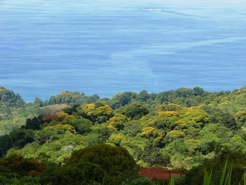 Developments For Sale in Dominical, photo 4