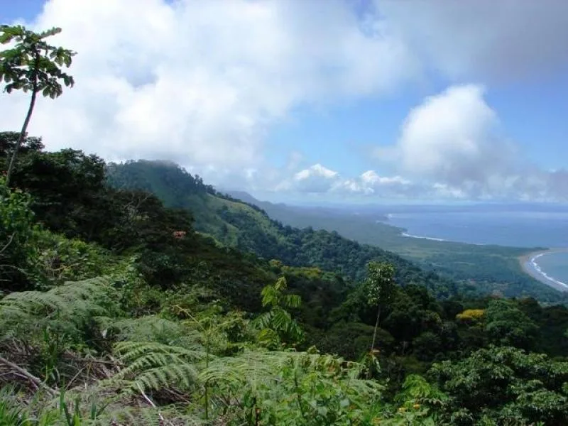 Developments For Sale in Dominical, photo 5