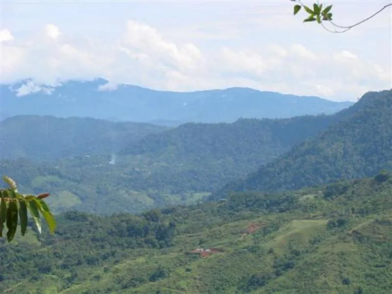 Developments For Sale in Dominical, photo 7