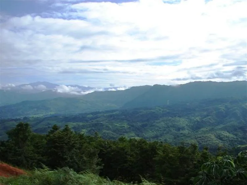 Developments For Sale in Dominical, photo 9