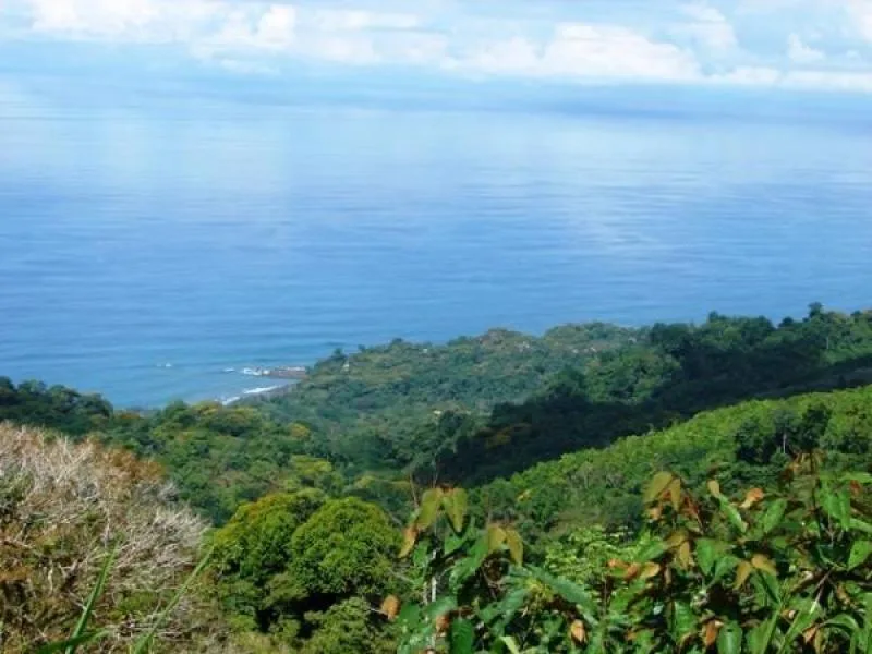 Developments For Sale in Dominical, photo 10