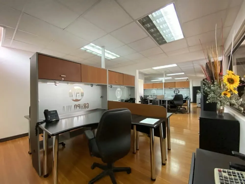 Office building for sale in La Sabana, photo 11