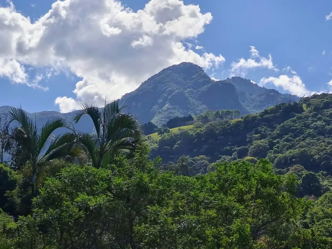 Hermosa propiedad ubicada en San Antonio de Escazú, en una zona exclusiva, tranquila y privada, rodeada de naturaleza y con espectaculares vistas hacia las montañas de Picot Blanco y ...