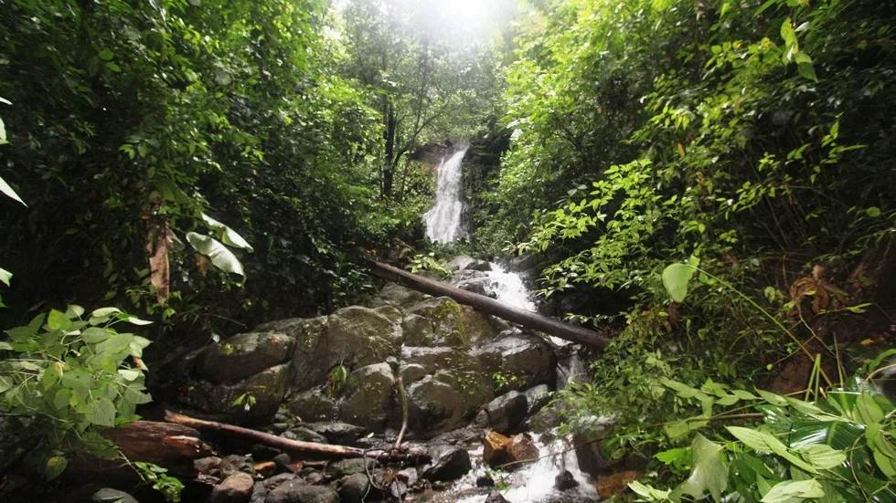 FARM IN UVITA WITH WATERFALLS AND OCEAN VIEWS – 72 ACRES, photo 2