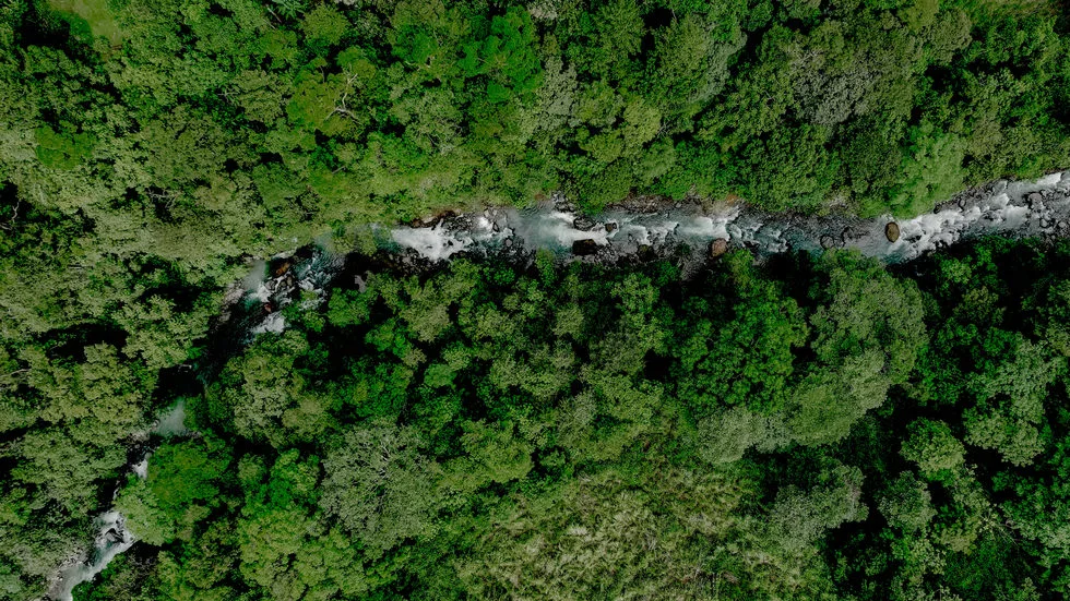 FARM IN UVITA WITH WATERFALLS AND OCEAN VIEWS – 72 ACRES, photo 12