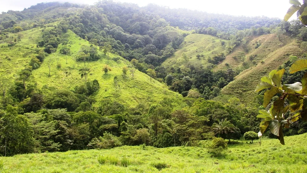 FARM IN UVITA WITH WATERFALLS AND OCEAN VIEWS – 72 ACRES, photo 13