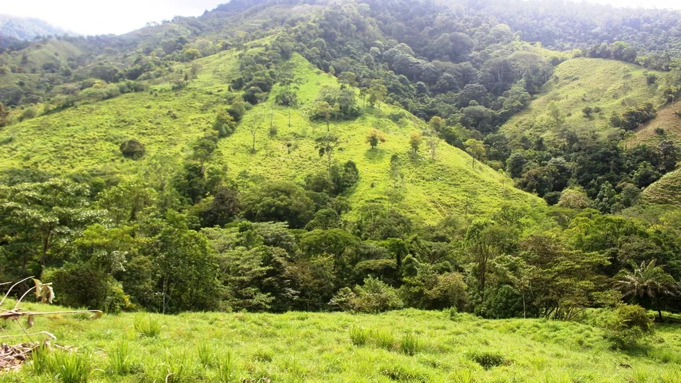 FARM IN UVITA WITH WATERFALLS AND OCEAN VIEWS – 72 ACRES, photo 14