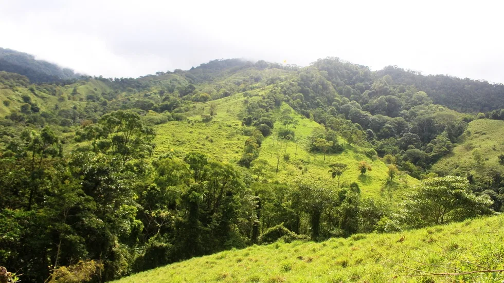 FARM IN UVITA WITH WATERFALLS AND OCEAN VIEWS – 72 ACRES, photo 16