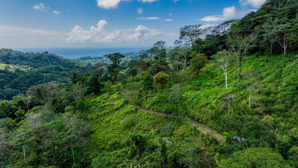 FARM IN UVITA WITH WATERFALLS AND OCEAN VIEWS – 72 ACRES, photo 17