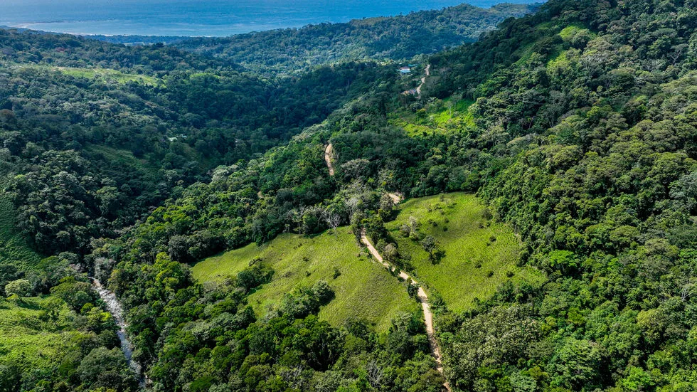FARM IN UVITA WITH WATERFALLS AND OCEAN VIEWS – 72 ACRES, photo 18