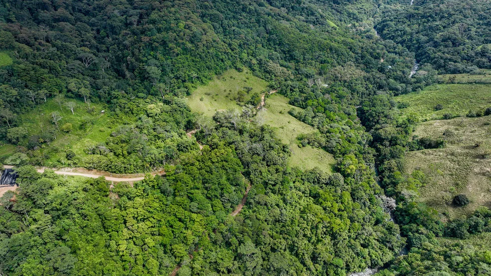 FARM IN UVITA WITH WATERFALLS AND OCEAN VIEWS – 72 ACRES, photo 19