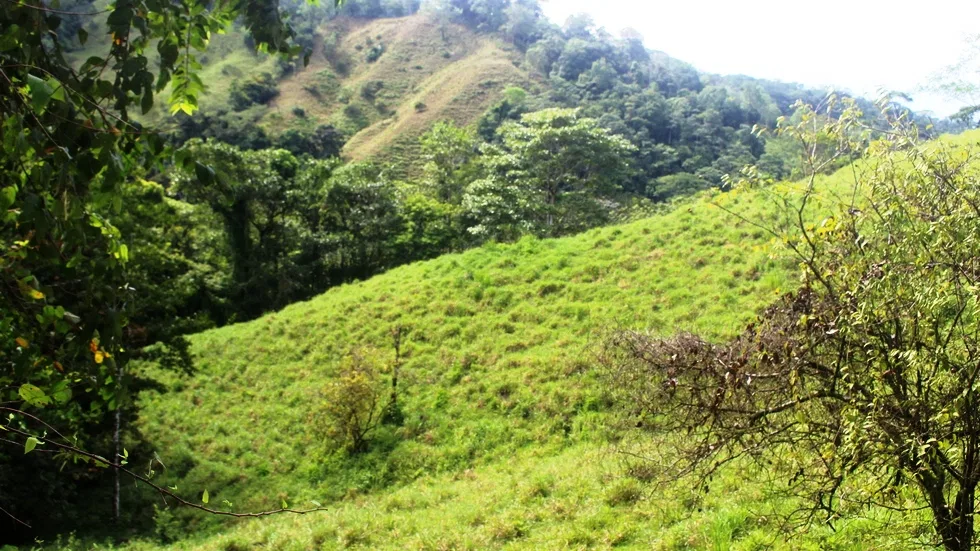 FARM IN UVITA WITH WATERFALLS AND OCEAN VIEWS – 72 ACRES, photo 20