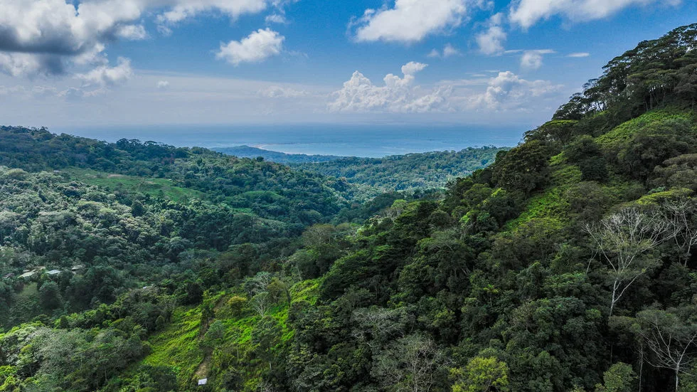 FARM IN UVITA WITH WATERFALLS AND OCEAN VIEWS – 72 ACRES, photo 3