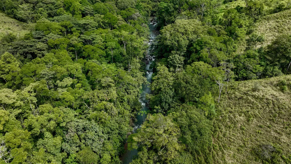 FARM IN UVITA WITH WATERFALLS AND OCEAN VIEWS – 72 ACRES, photo 21
