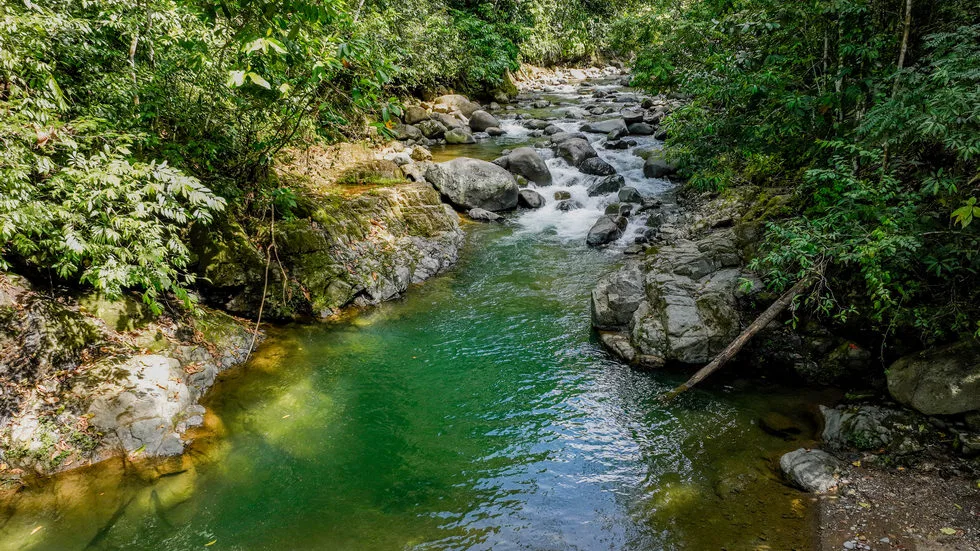 FARM IN UVITA WITH WATERFALLS AND OCEAN VIEWS – 72 ACRES, photo 24