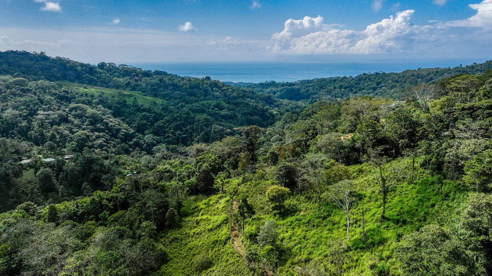 FARM IN UVITA WITH WATERFALLS AND OCEAN VIEWS – 72 ACRES, photo 4