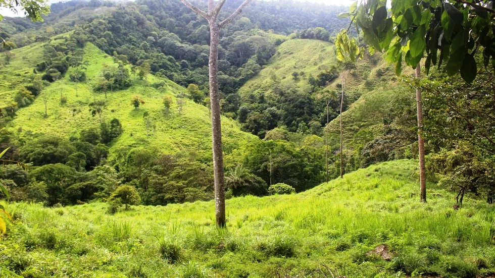 FARM IN UVITA WITH WATERFALLS AND OCEAN VIEWS – 72 ACRES, photo 9