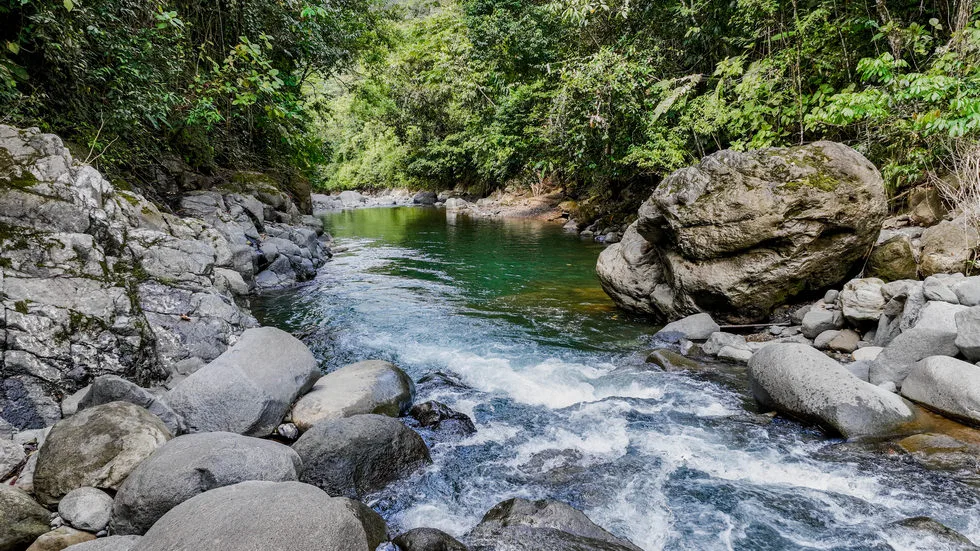 FARM IN UVITA WITH WATERFALLS AND OCEAN VIEWS – 72 ACRES, photo 10