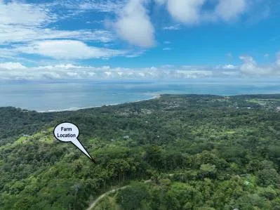 Propiedad Legado de 60 Hectáreas con Vista Panorámica a la Cola de Ballena