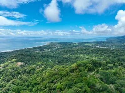 Propiedad Legado de 60 Hectáreas con Vista Panorámica a la Cola de Ballena, photo 3