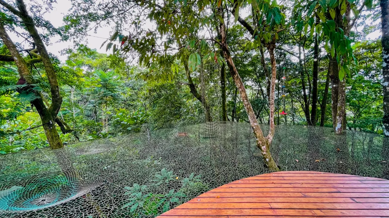 JUNGLE PROPERTY WITH THREE BEDROOMS, IN LOS JARDINES DEL MORETE UVITA – 1.89 ACRES, photo 13