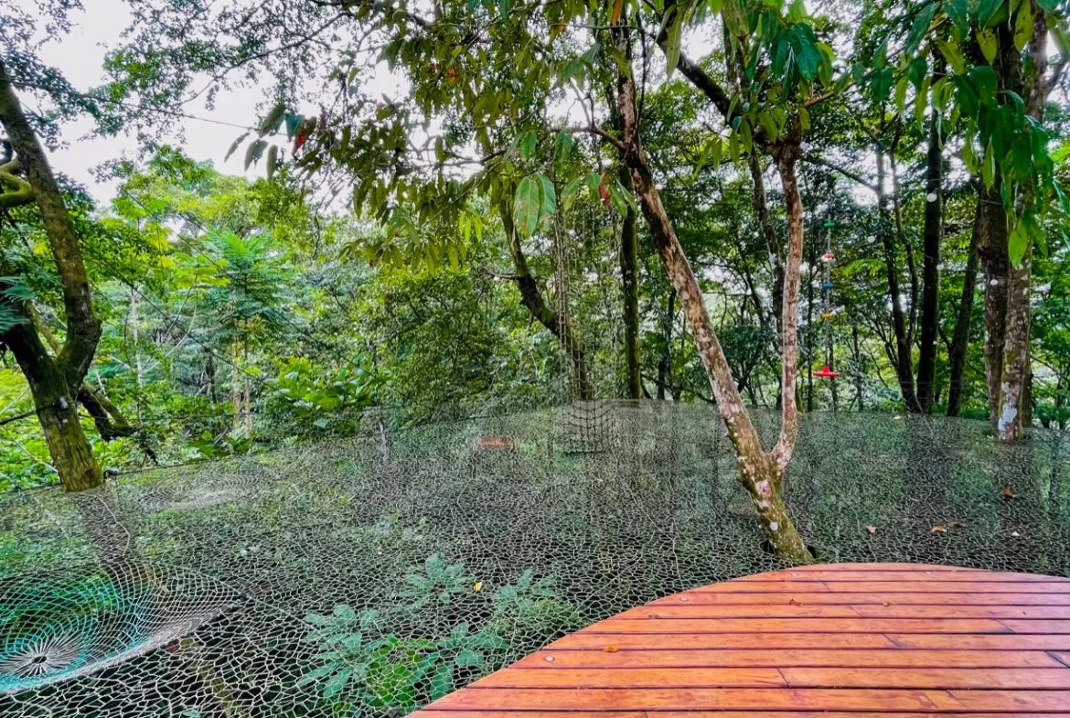JUNGLE PROPERTY WITH THREE BEDROOMS, IN LOS JARDINES DEL MORETE UVITA – 1.89 ACRES, photo 14
