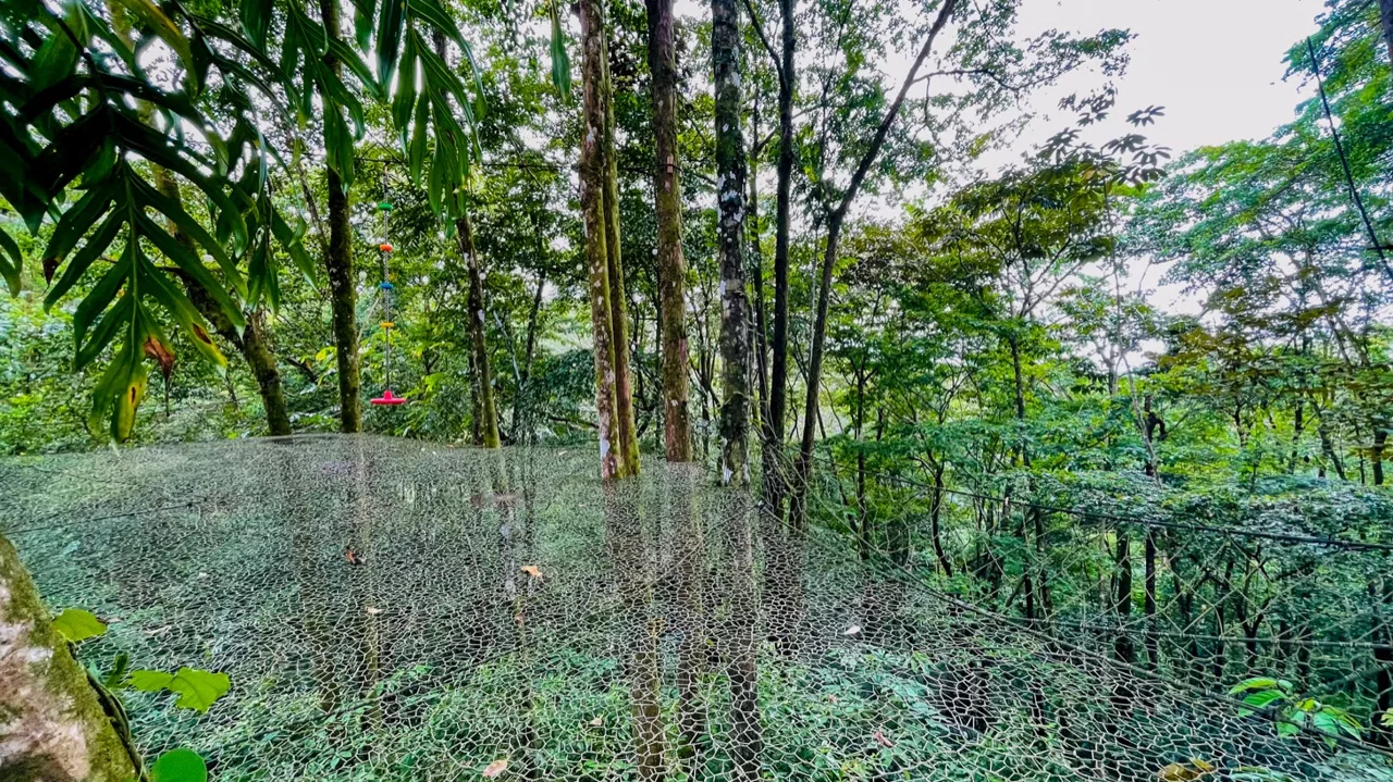 JUNGLE PROPERTY WITH THREE BEDROOMS, IN LOS JARDINES DEL MORETE UVITA – 1.89 ACRES, photo 15