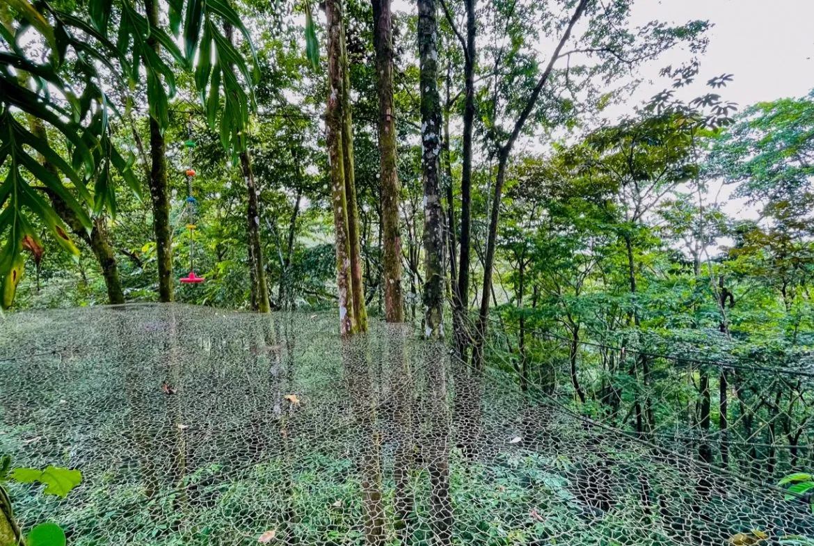 JUNGLE PROPERTY WITH THREE BEDROOMS, IN LOS JARDINES DEL MORETE UVITA – 1.89 ACRES, photo 16