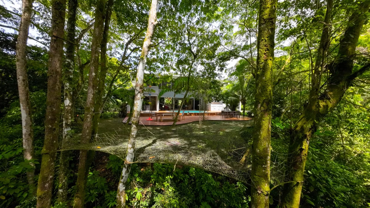 JUNGLE PROPERTY WITH THREE BEDROOMS, IN LOS JARDINES DEL MORETE UVITA – 1.89 ACRES, photo 9