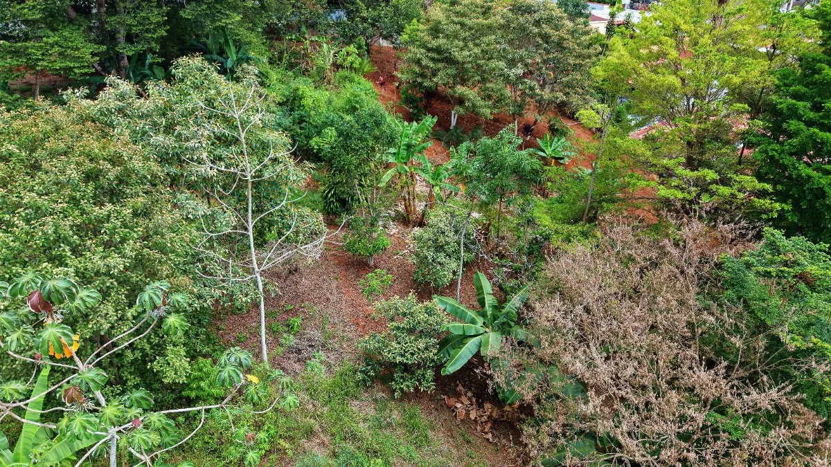 VENTA DE LOTE DE 4.321 M2 EN BARRIO SAN RAFAEL, PEREZ ZELEDON: POTENCIAL RESIDENCIAL - Venta en Pérez Zeledón, photo 13
