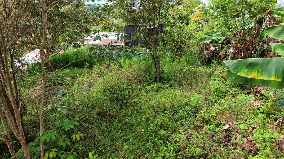 VENTA DE LOTE DE 4.321 M2 EN BARRIO SAN RAFAEL, PEREZ ZELEDON: POTENCIAL RESIDENCIAL - Venta en Pérez Zeledón, photo 14