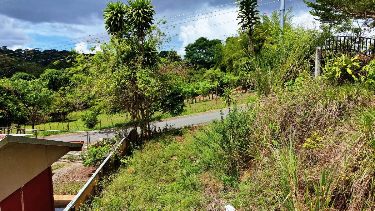 VENTA DE LOTE DE 4.321 M2 EN BARRIO SAN RAFAEL, PEREZ ZELEDON: POTENCIAL RESIDENCIAL - Venta en Pérez Zeledón, photo 15