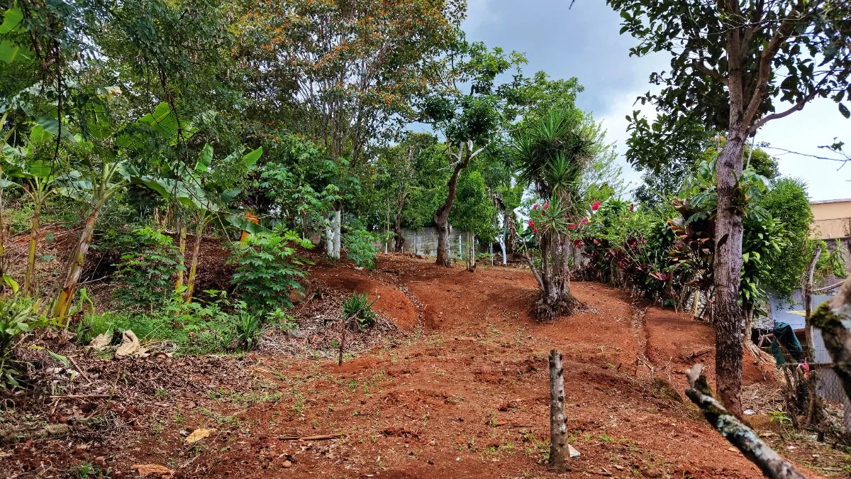 VENTA DE LOTE DE 4.321 M2 EN BARRIO SAN RAFAEL, PEREZ ZELEDON: POTENCIAL RESIDENCIAL - Venta en Pérez Zeledón, photo 17