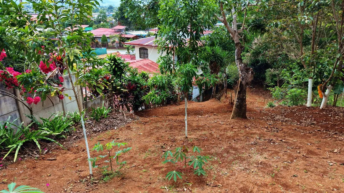 VENTA DE LOTE DE 4.321 M2 EN BARRIO SAN RAFAEL, PEREZ ZELEDON: POTENCIAL RESIDENCIAL - Venta en Pérez Zeledón, photo 19