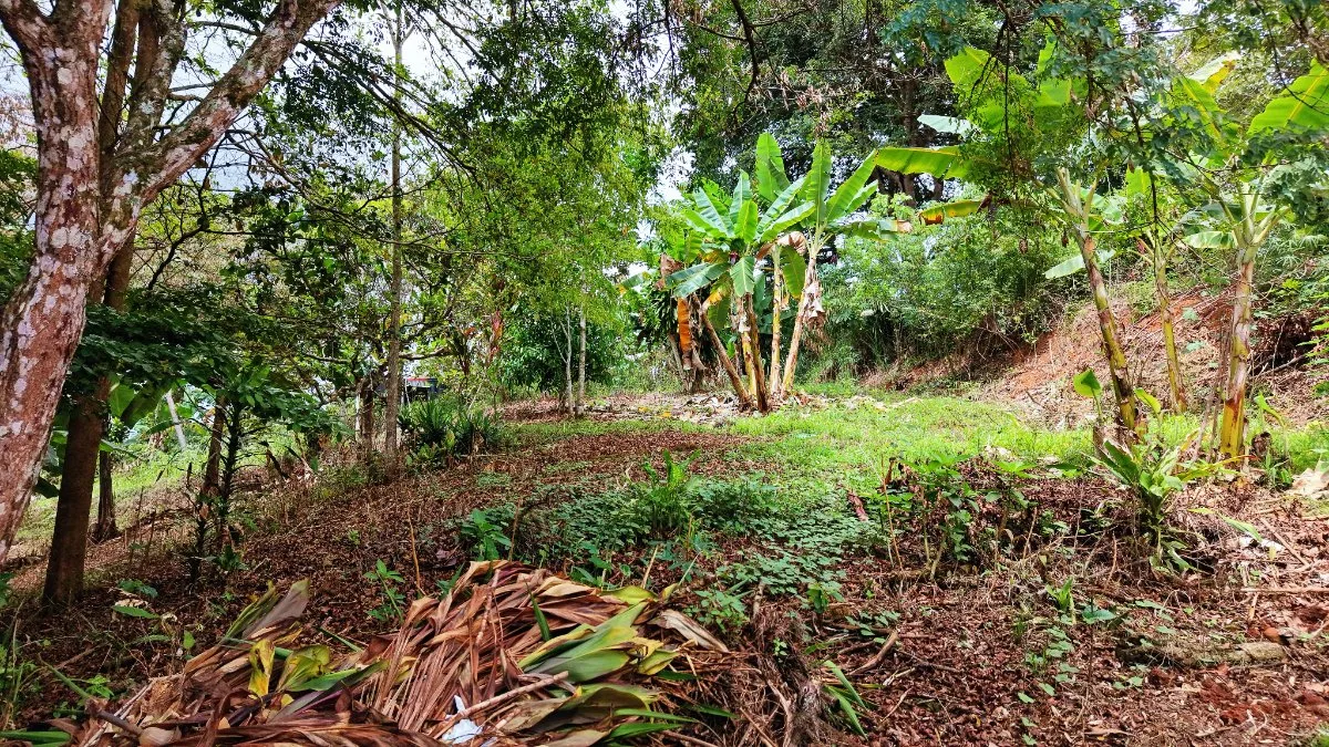 VENTA DE LOTE DE 4.321 M2 EN BARRIO SAN RAFAEL, PEREZ ZELEDON: POTENCIAL RESIDENCIAL - Venta en Pérez Zeledón, photo 4