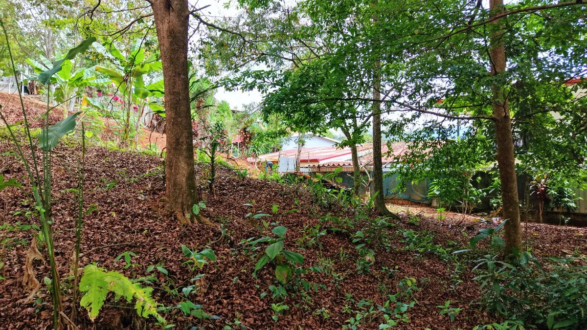 VENTA DE LOTE DE 4.321 M2 EN BARRIO SAN RAFAEL, PEREZ ZELEDON: POTENCIAL RESIDENCIAL - Venta en Pérez Zeledón, photo 9
