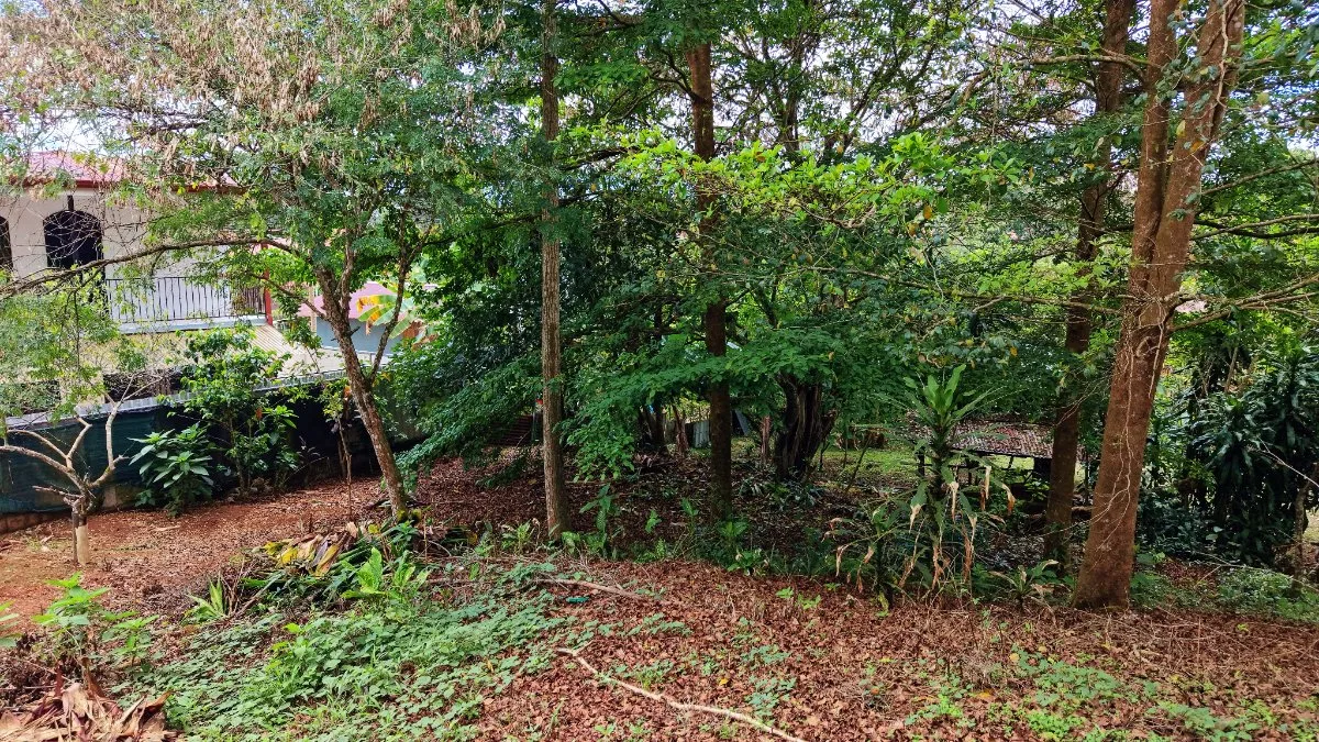 VENTA DE LOTE DE 4.321 M2 EN BARRIO SAN RAFAEL, PEREZ ZELEDON: POTENCIAL RESIDENCIAL - Venta en Pérez Zeledón, photo 10