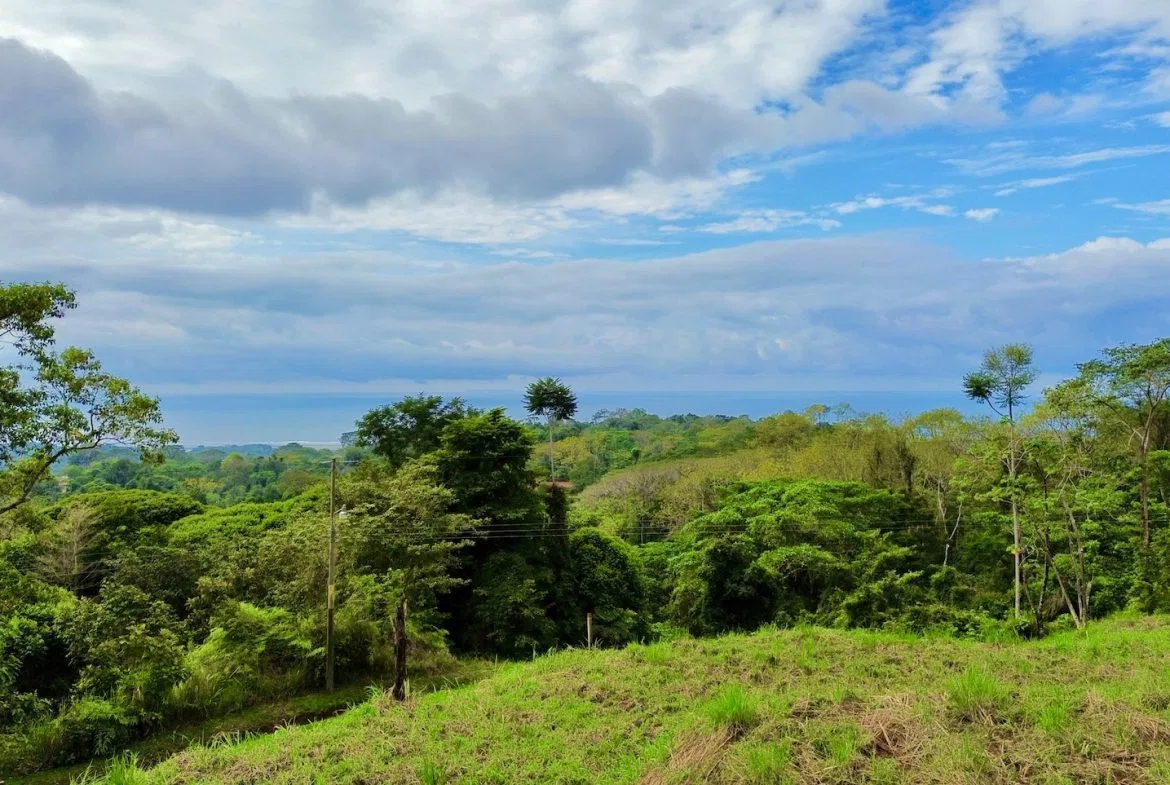 BUILDING PROPERTY WITH PANORAMIC VIEWS OF THE OCEAN AND THE SUNSET, IN OJOCHAL – 0.34 ACRES, photo 12