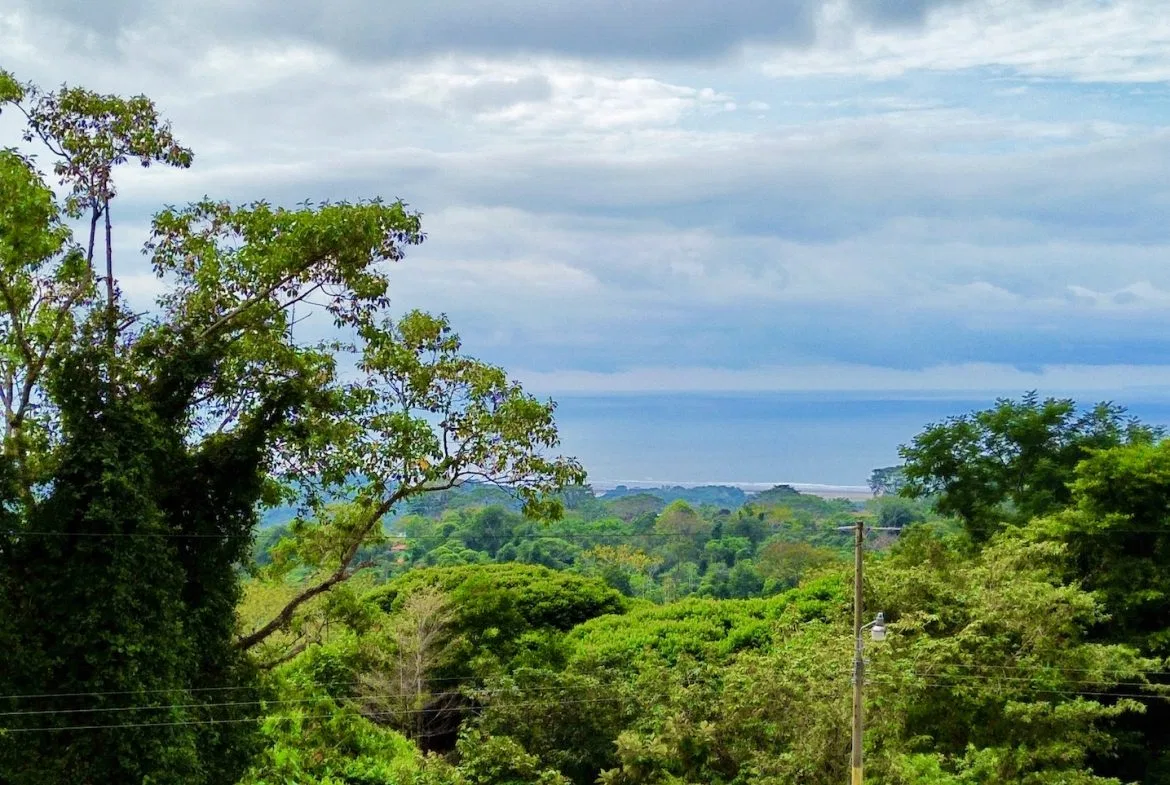 BUILDING PROPERTY WITH PANORAMIC VIEWS OF THE OCEAN AND THE SUNSET, IN OJOCHAL – 0.34 ACRES, photo 14