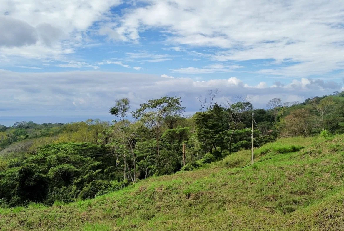 BUILDING PROPERTY WITH PANORAMIC VIEWS OF THE OCEAN AND THE SUNSET, IN OJOCHAL – 0.34 ACRES, photo 16