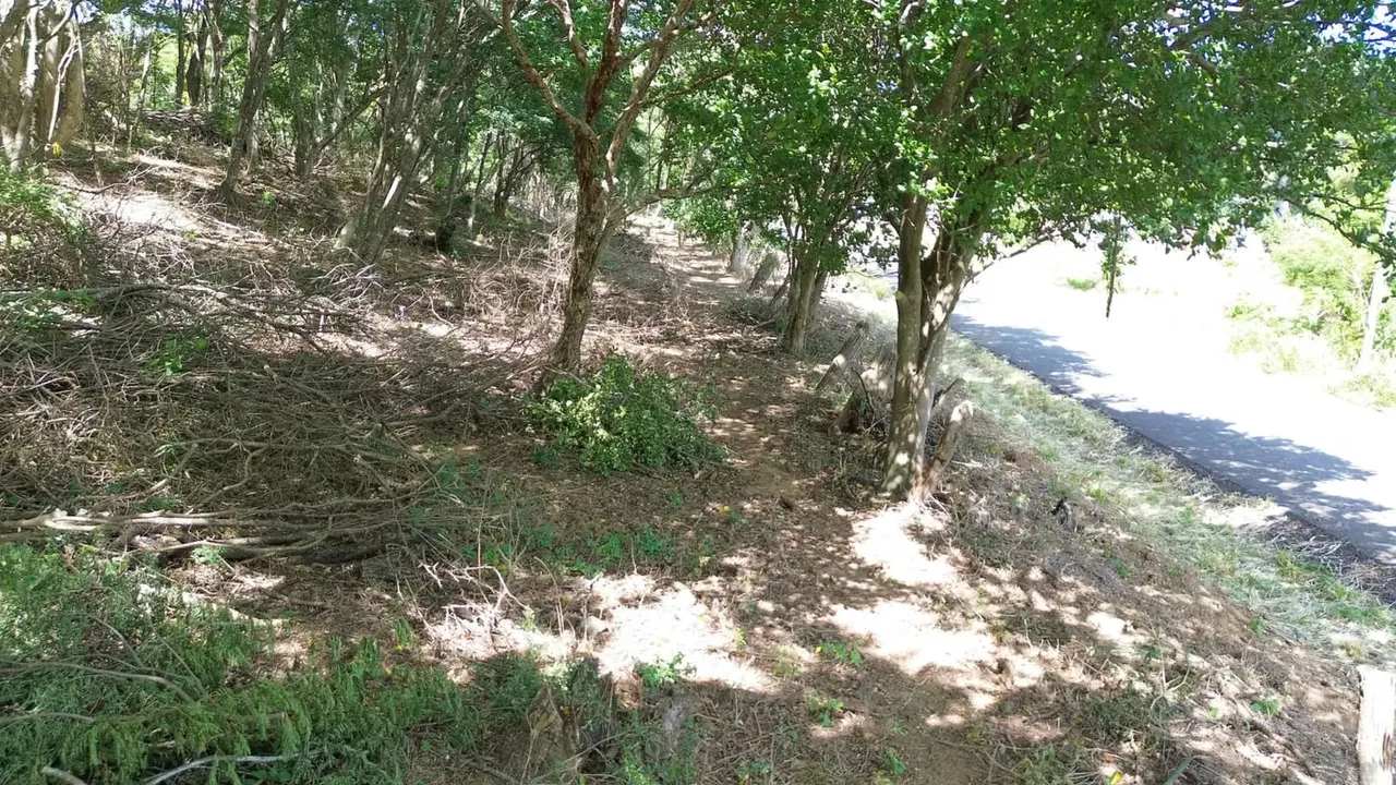 LOTE EN VENTA 1500 m2. RECTANGULAR. CERCA DE PLAYA., photo 2